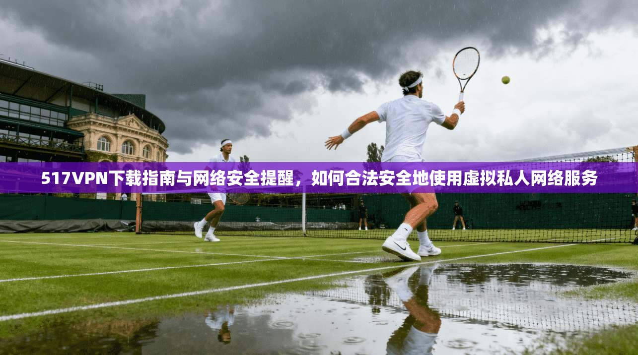 517VPN下载指南与网络安全提醒，如何合法安全地使用虚拟私人网络服务