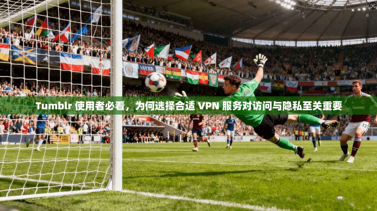 Tumblr 使用者必看，为何选择合适 VPN 服务对访问与隐私至关重要