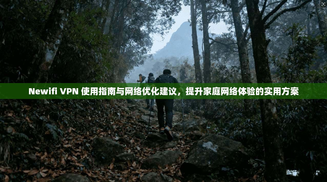 Newifi VPN 使用指南与网络优化建议，提升家庭网络体验的实用方案