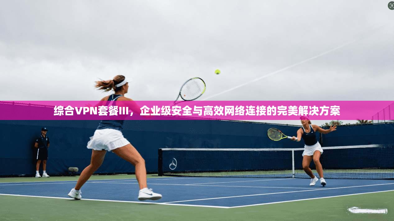 综合VPN套餐III，企业级安全与高效网络连接的完美解决方案
