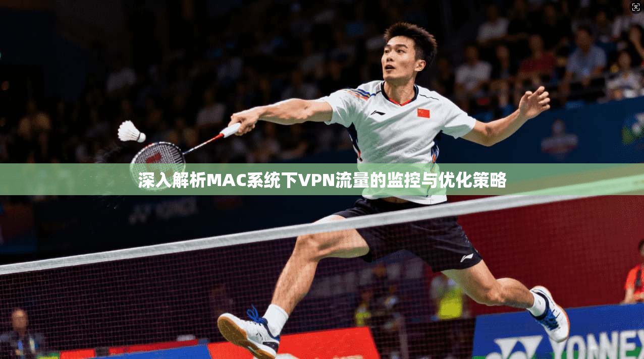 深入解析MAC系统下VPN流量的监控与优化策略