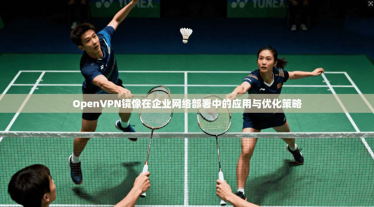OpenVPN镜像在企业网络部署中的应用与优化策略