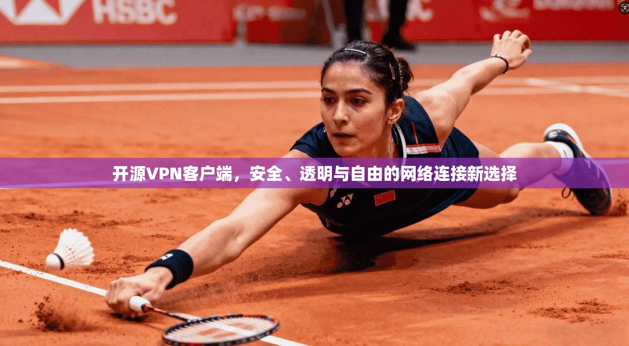 开源VPN客户端，安全、透明与自由的网络连接新选择
