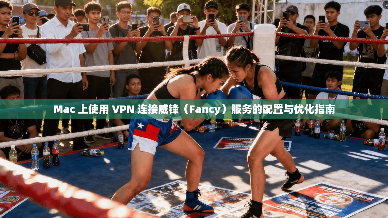 Mac 上使用 VPN 连接威锋（Fancy）服务的配置与优化指南