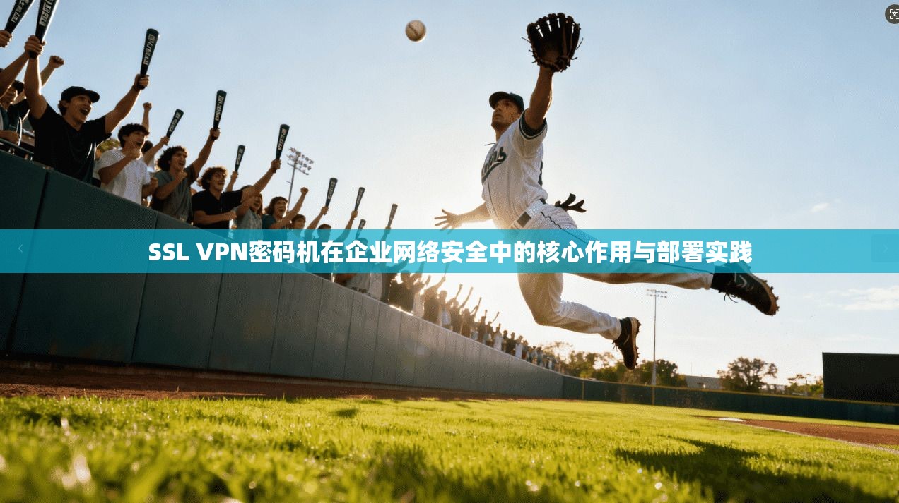 SSL VPN密码机在企业网络安全中的核心作用与部署实践