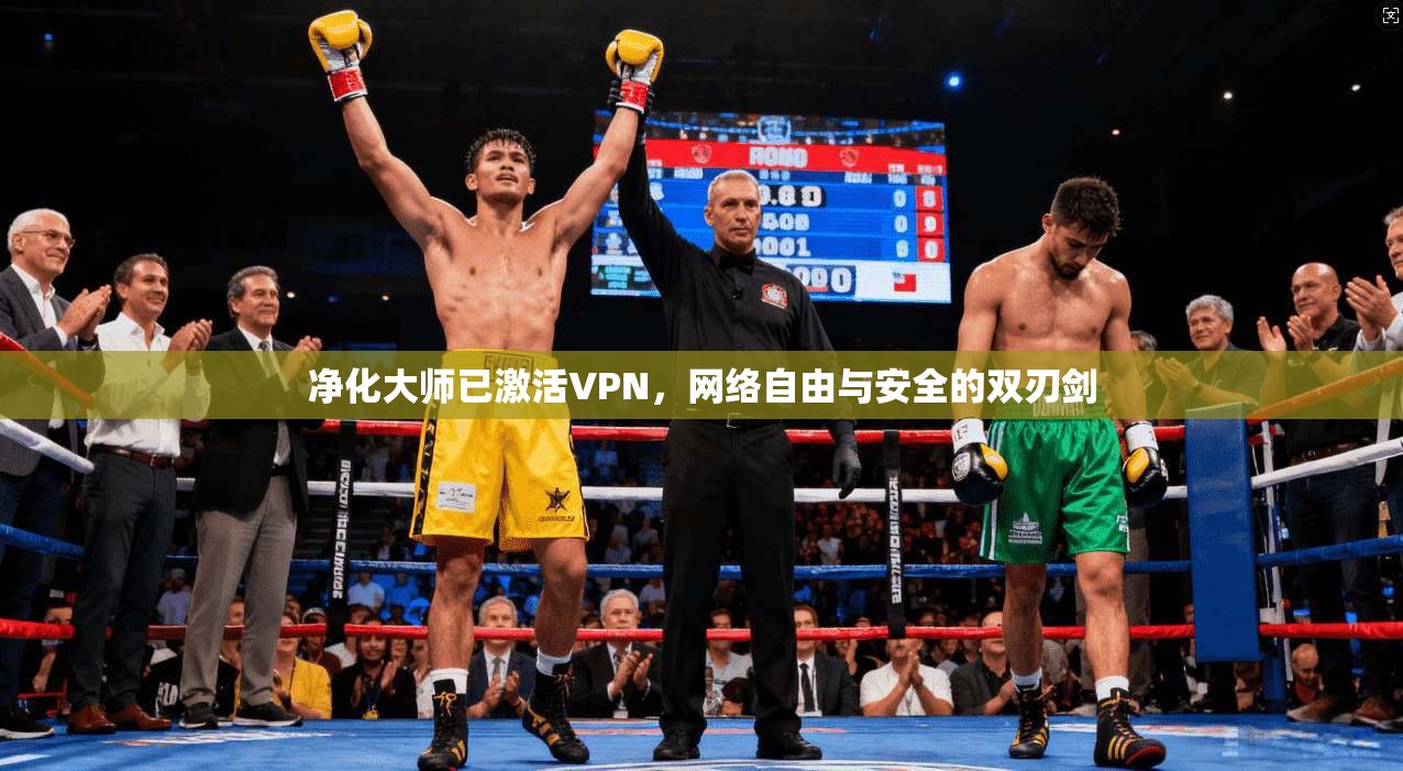净化大师已激活VPN，网络自由与安全的双刃剑