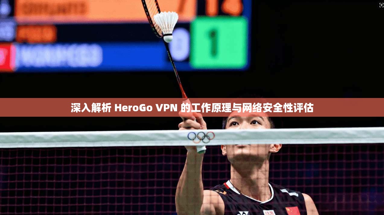 深入解析 HeroGo VPN 的工作原理与网络安全性评估