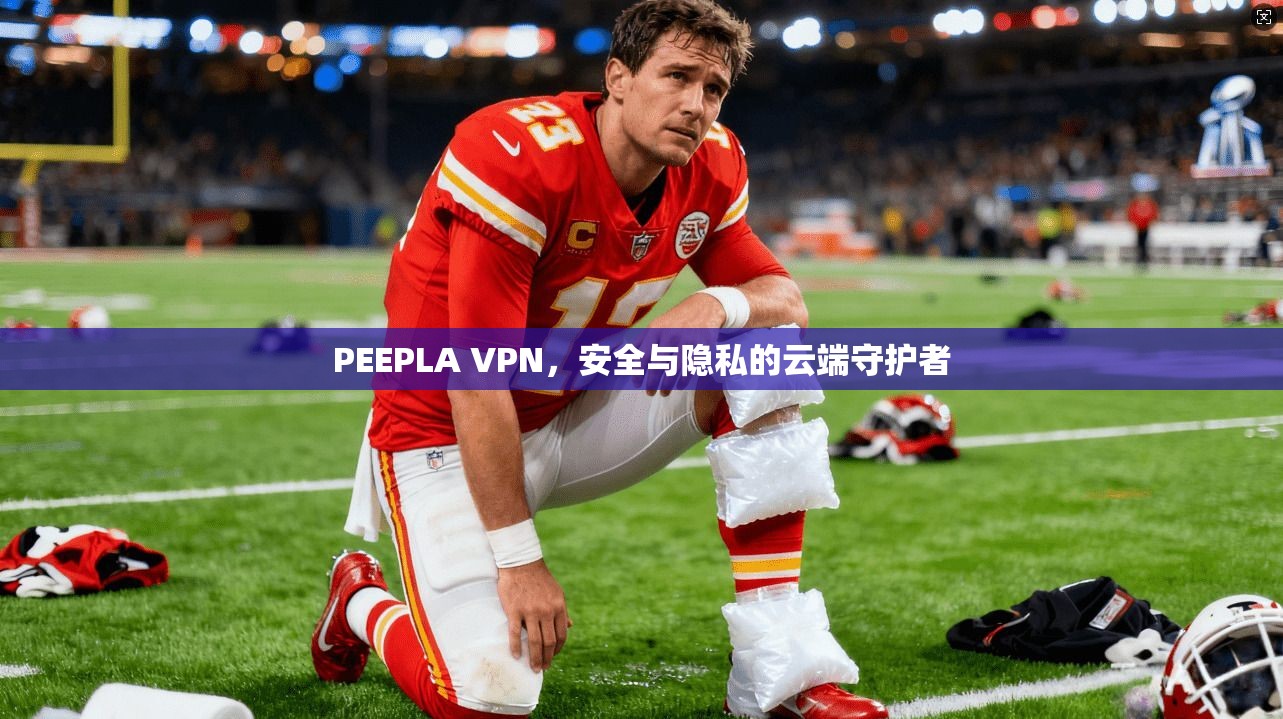 PEEPLA VPN，安全与隐私的云端守护者