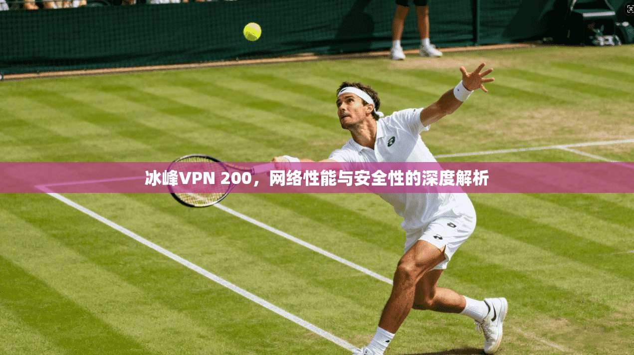 冰峰VPN 200，网络性能与安全性的深度解析