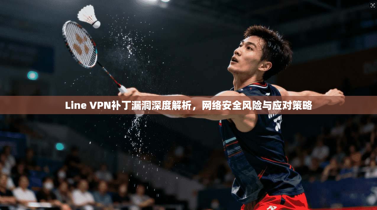 Line VPN补丁漏洞深度解析，网络安全风险与应对策略
