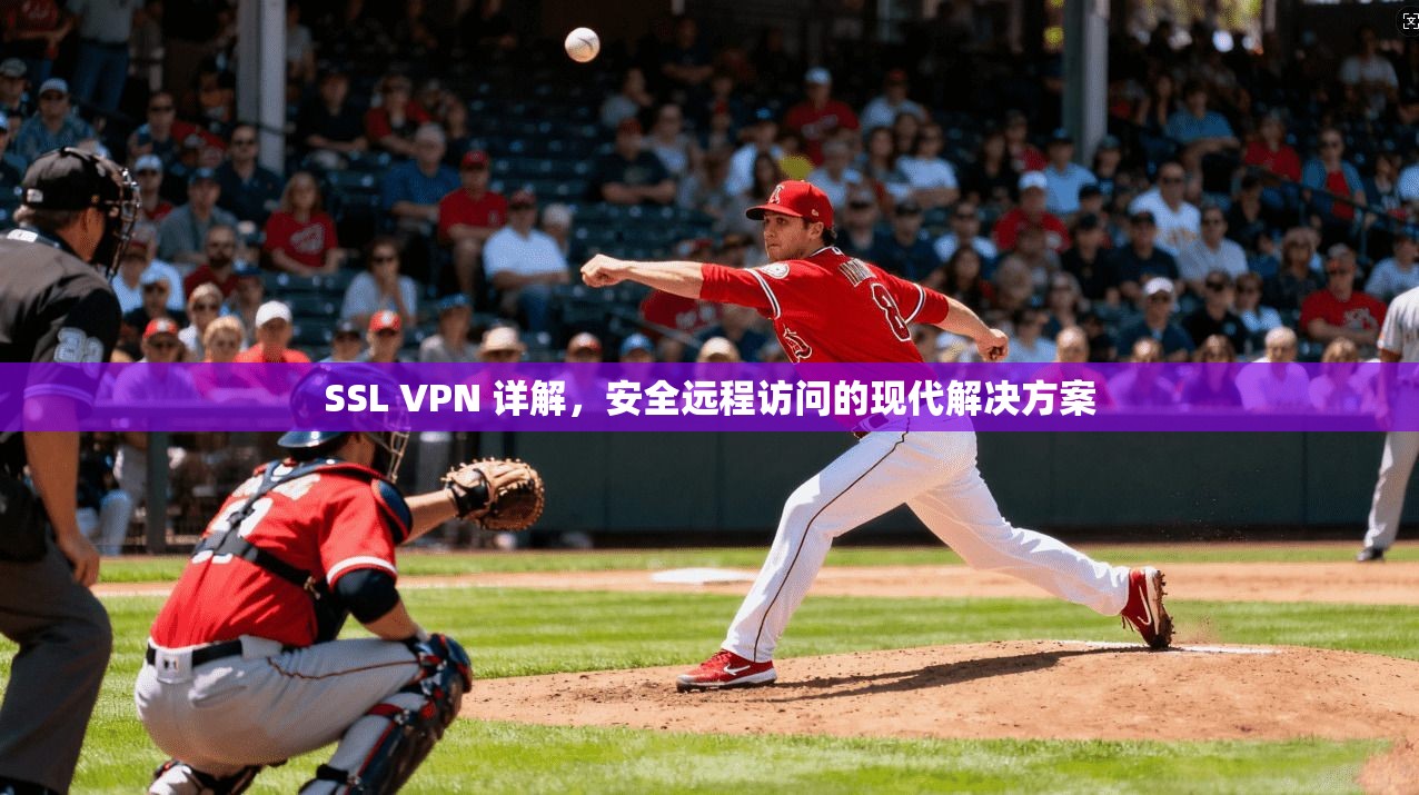 SSL VPN 详解，安全远程访问的现代解决方案