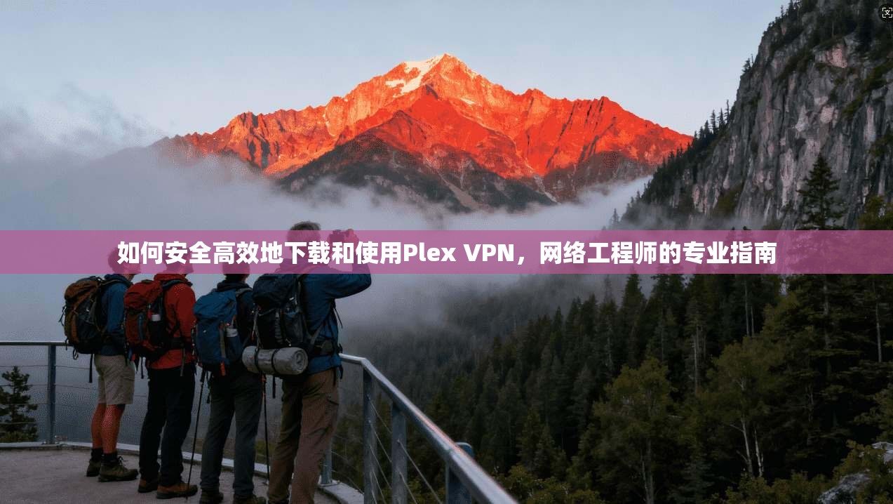 如何安全高效地下载和使用Plex VPN，网络工程师的专业指南