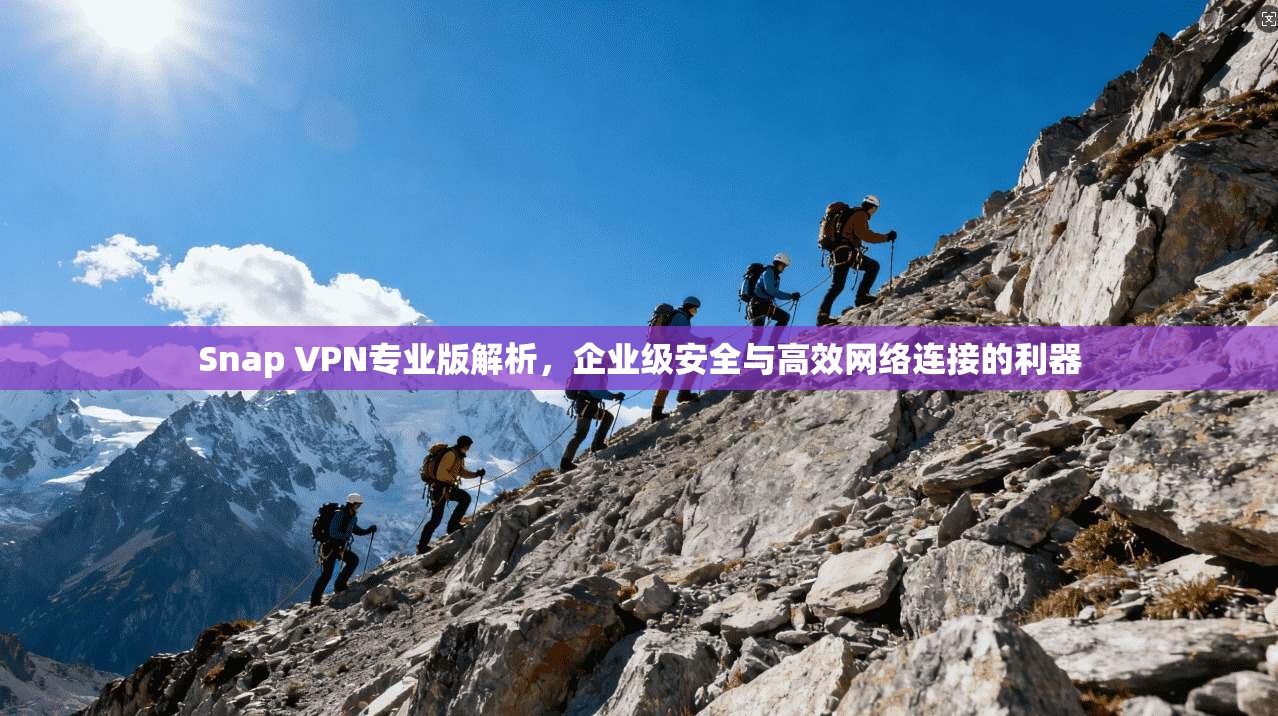 Snap VPN专业版解析,企业级安全与高效网络连接的利器 Snap VPN专业版解析,企业级安全与高效网络连接的利器