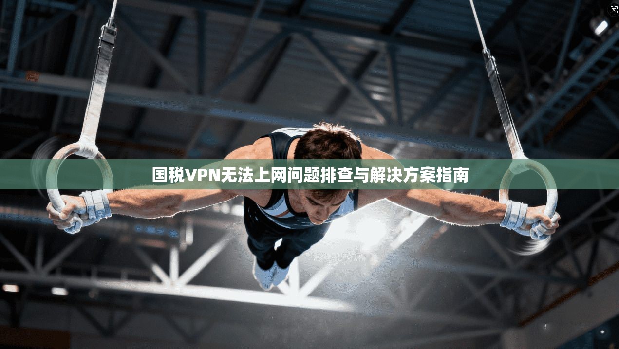 国税VPN无法上网问题排查与解决方案指南