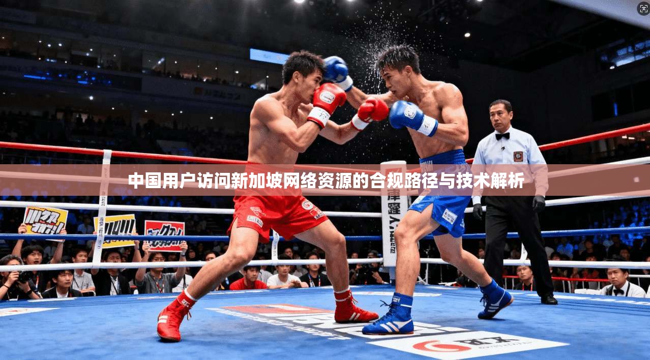 中国用户访问新加坡网络资源的合规路径与技术解析