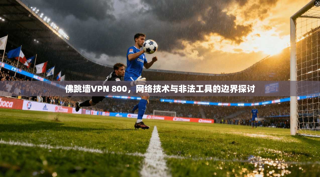 佛跳墙VPN 800，网络技术与非法工具的边界探讨