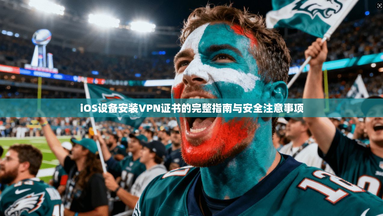 iOS设备安装VPN证书的完整指南与安全注意事项