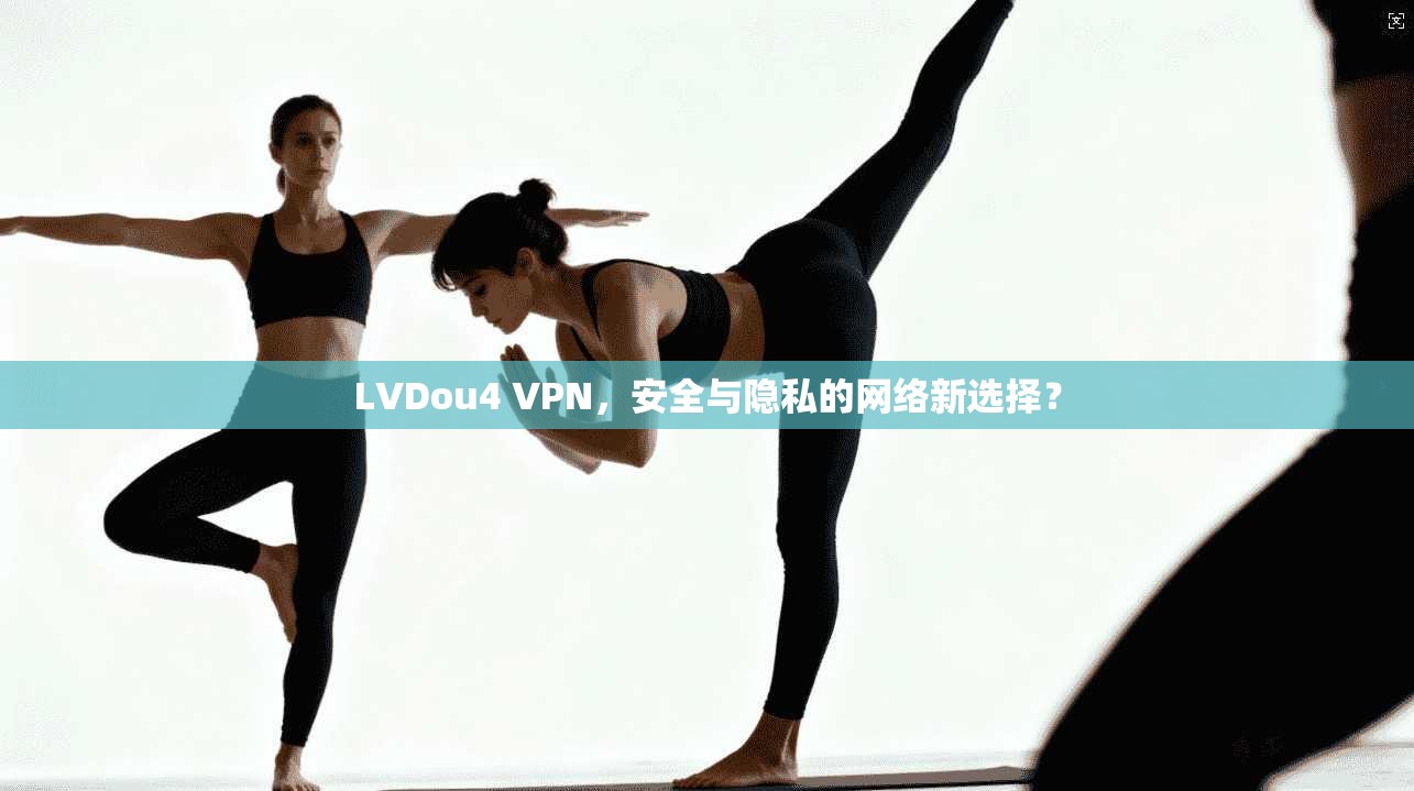 LVDou4 VPN，安全与隐私的网络新选择？