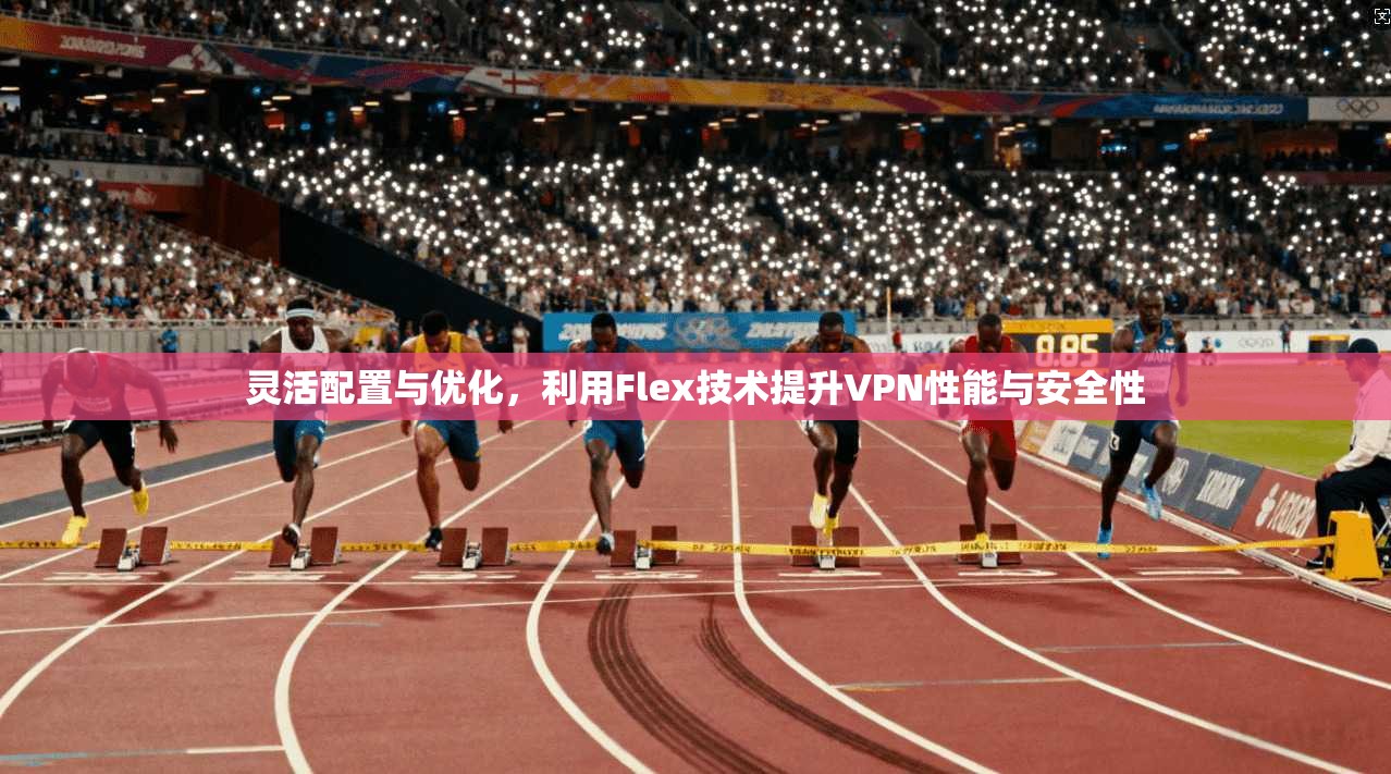 灵活配置与优化，利用Flex技术提升VPN性能与安全性