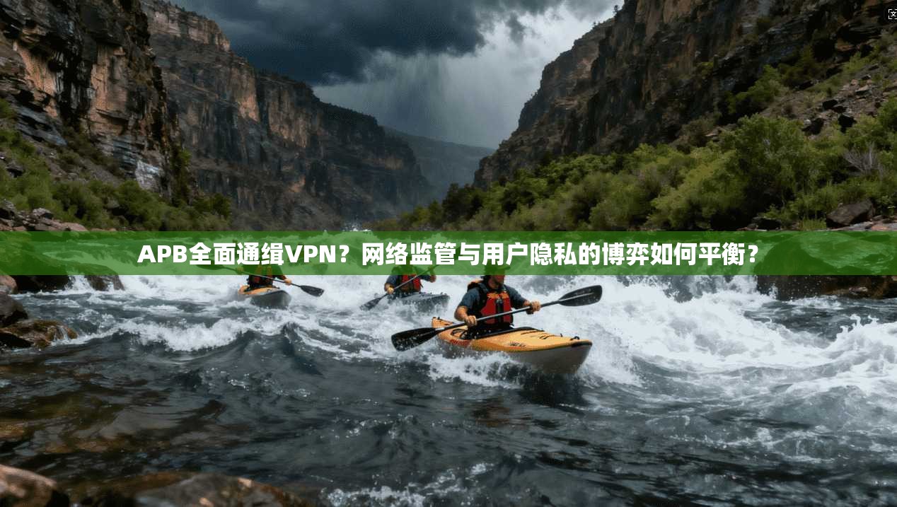 APB全面通缉VPN？网络监管与用户隐私的博弈如何平衡？