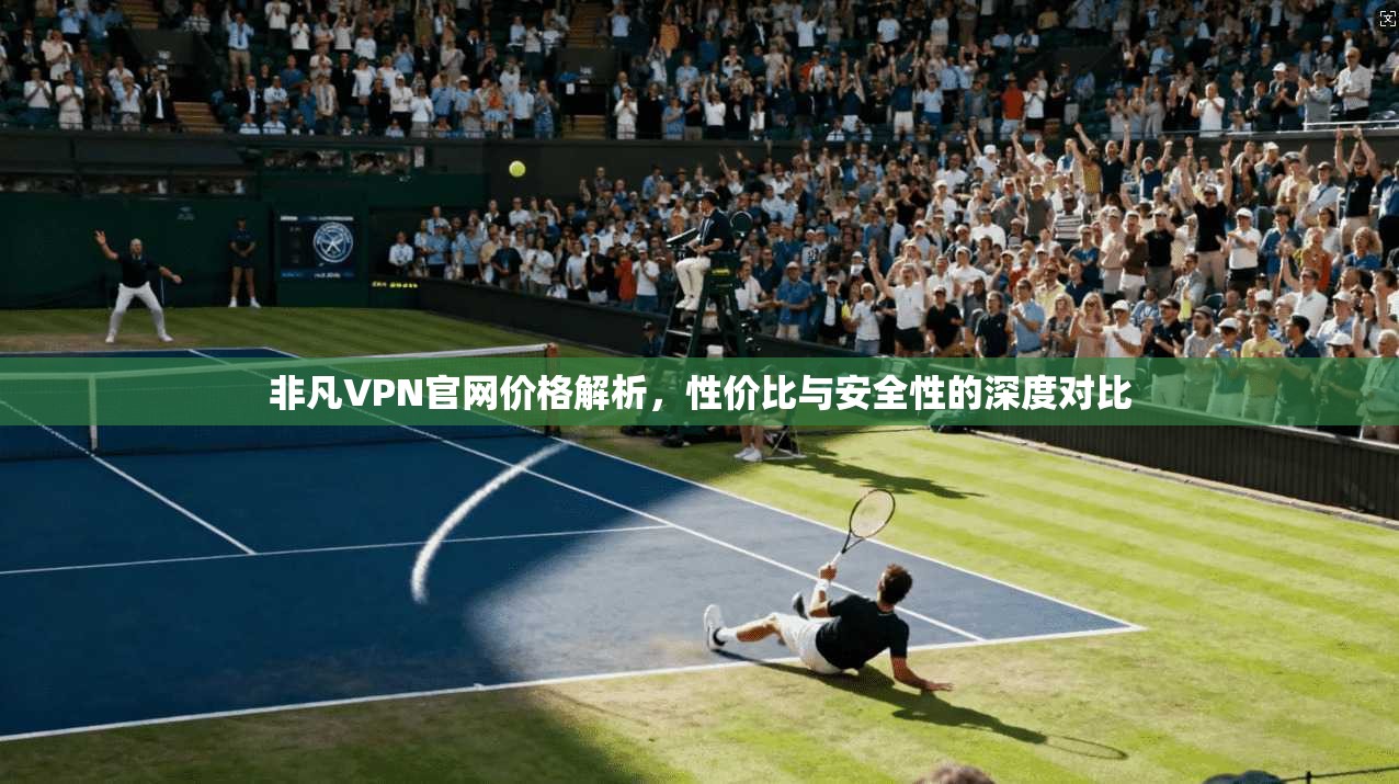 非凡VPN官网价格解析，性价比与安全性的深度对比
