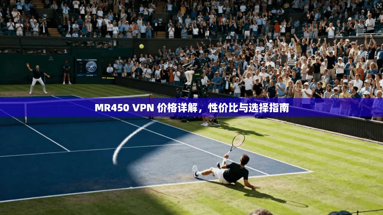 MR450 VPN 价格详解，性价比与选择指南