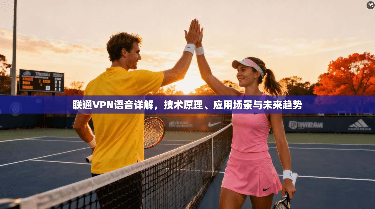 联通VPN语音详解，技术原理、应用场景与未来趋势