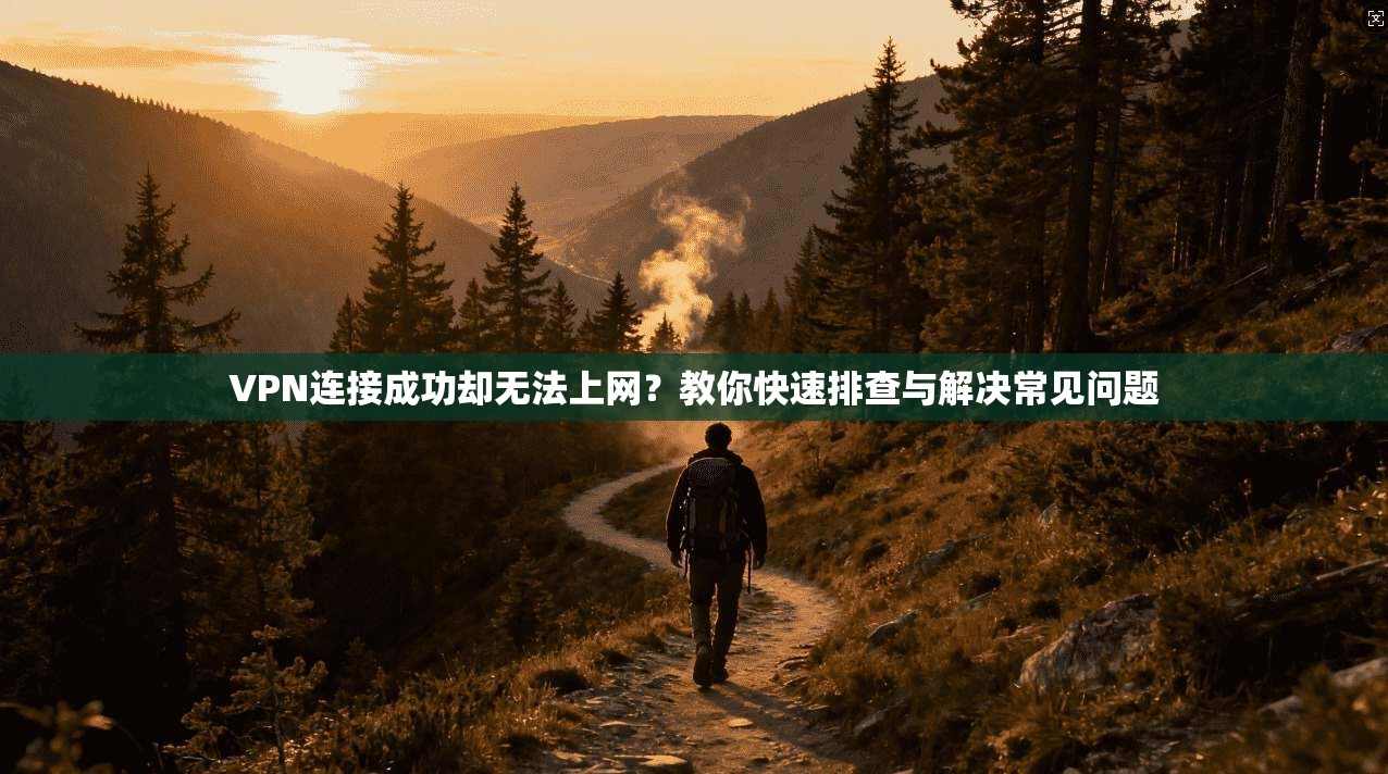 VPN连接成功却无法上网？教你快速排查与解决常见问题