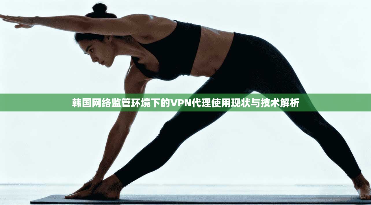 韩国网络监管环境下的VPN代理使用现状与技术解析