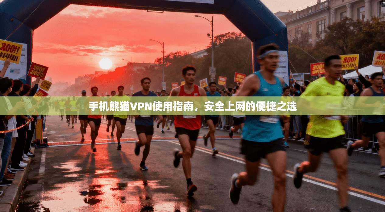 手机熊猫VPN使用指南，安全上网的便捷之选