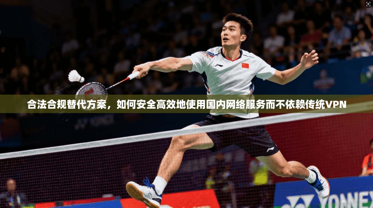 合法合规替代方案，如何安全高效地使用国内网络服务而不依赖传统VPN
