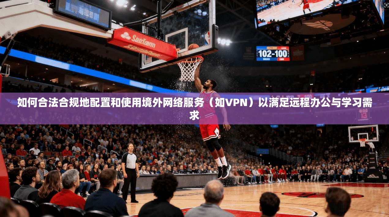 如何合法合规地配置和使用境外网络服务（如VPN）以满足远程办公与学习需求