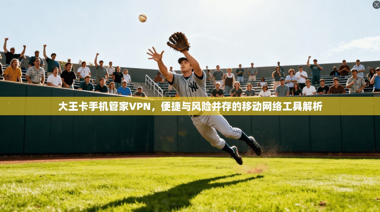 大王卡手机管家VPN，便捷与风险并存的移动网络工具解析