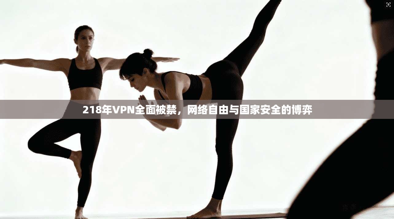 218年VPN全面被禁，网络自由与国家安全的博弈