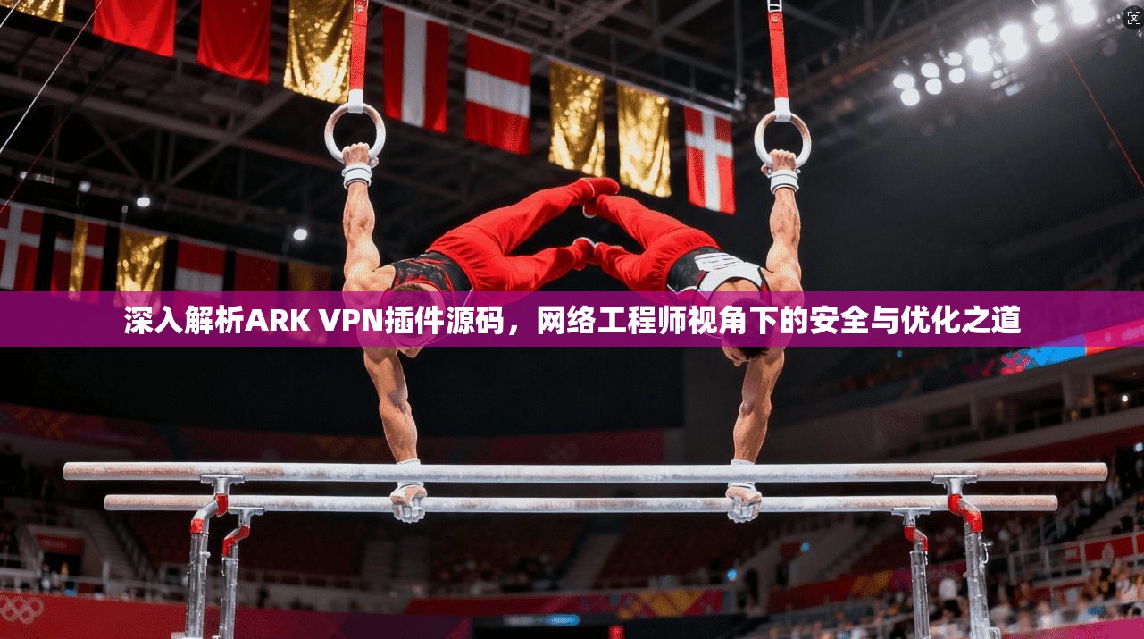 深入解析ARK VPN插件源码，网络工程师视角下的安全与优化之道