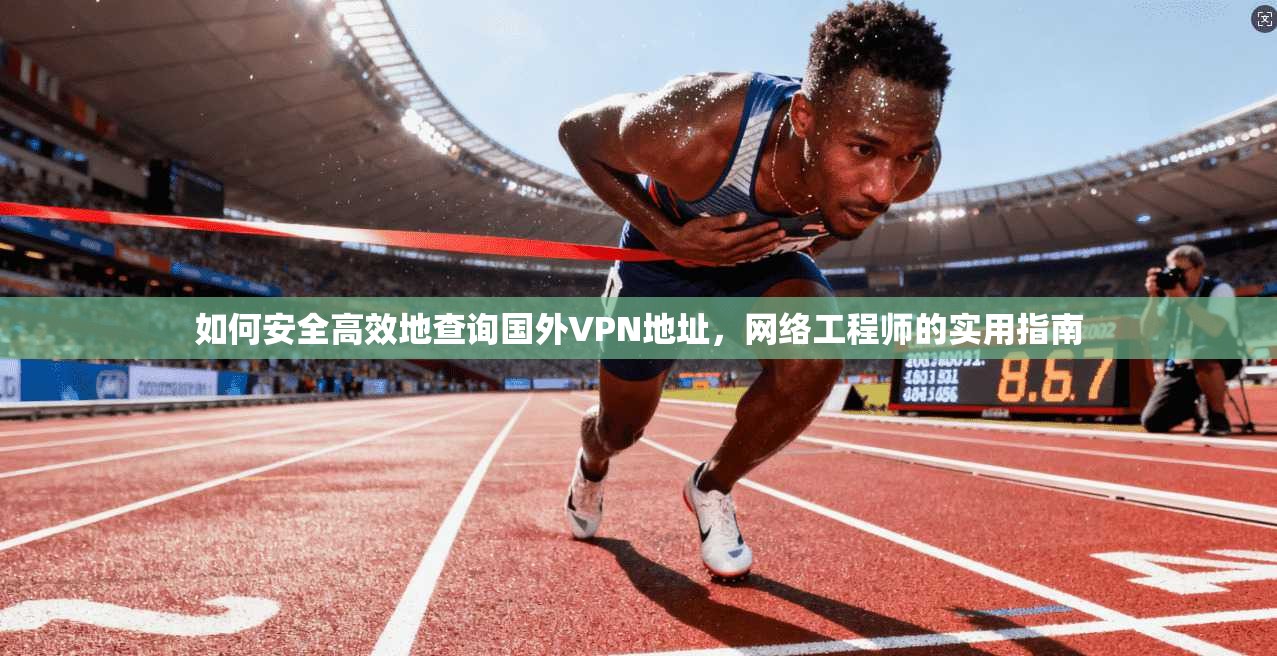 如何安全高效地查询国外VPN地址，网络工程师的实用指南