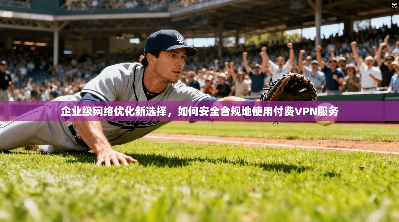 企业级网络优化新选择，如何安全合规地使用付费VPN服务