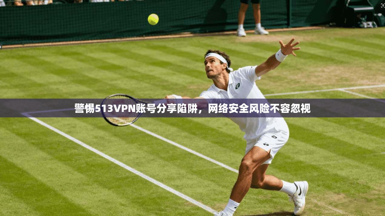 警惕513VPN账号分享陷阱，网络安全风险不容忽视