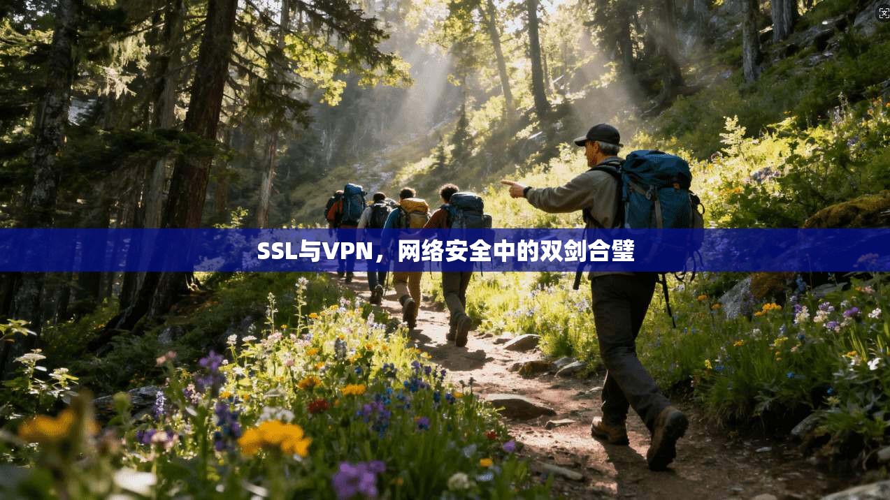 SSL与VPN，网络安全中的双剑合璧