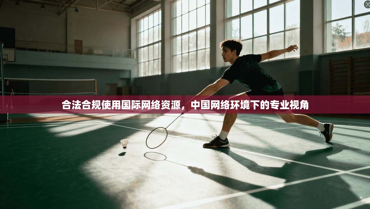 合法合规使用国际网络资源，中国网络环境下的专业视角