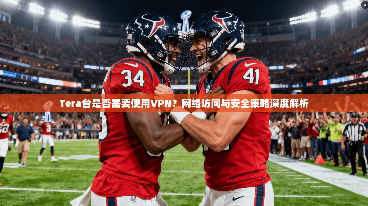 Tera台是否需要使用VPN？网络访问与安全策略深度解析