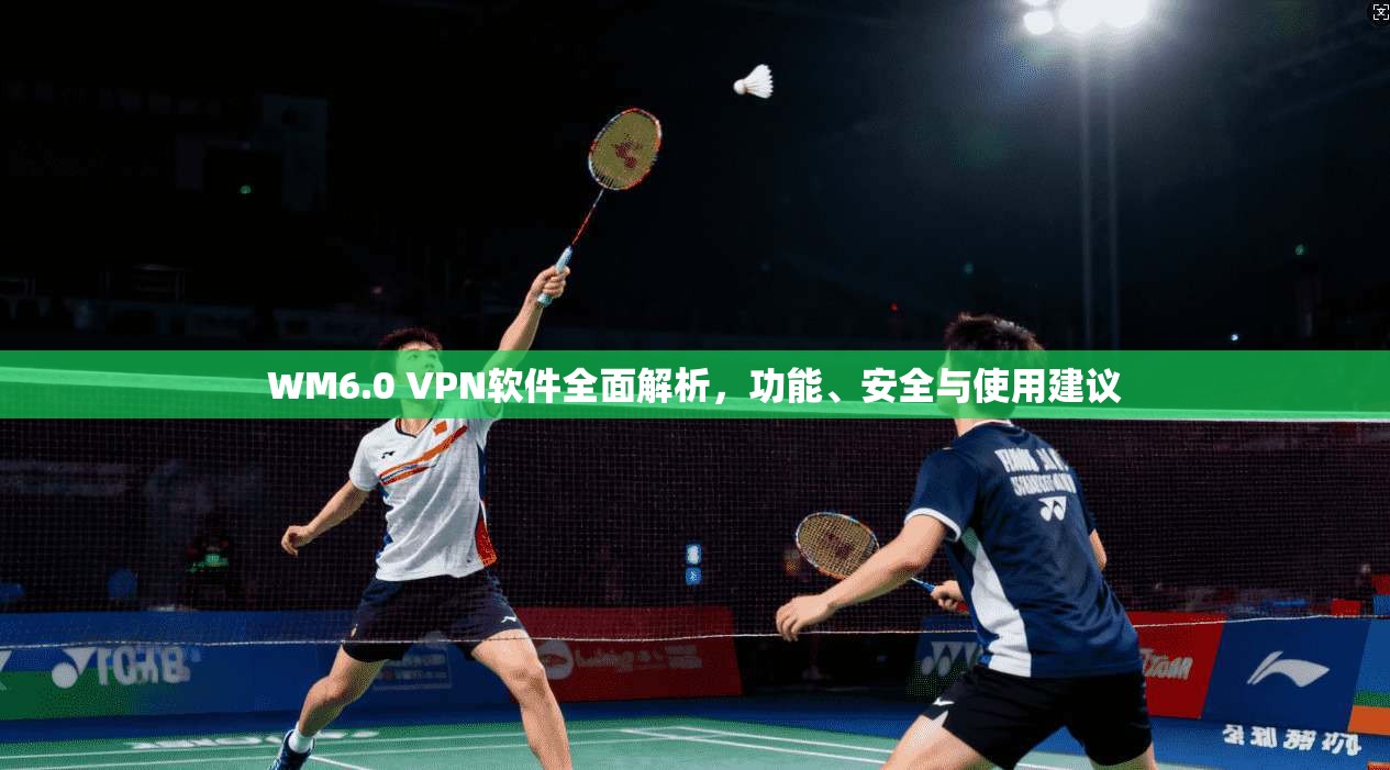 WM6.0 VPN软件全面解析，功能、安全与使用建议