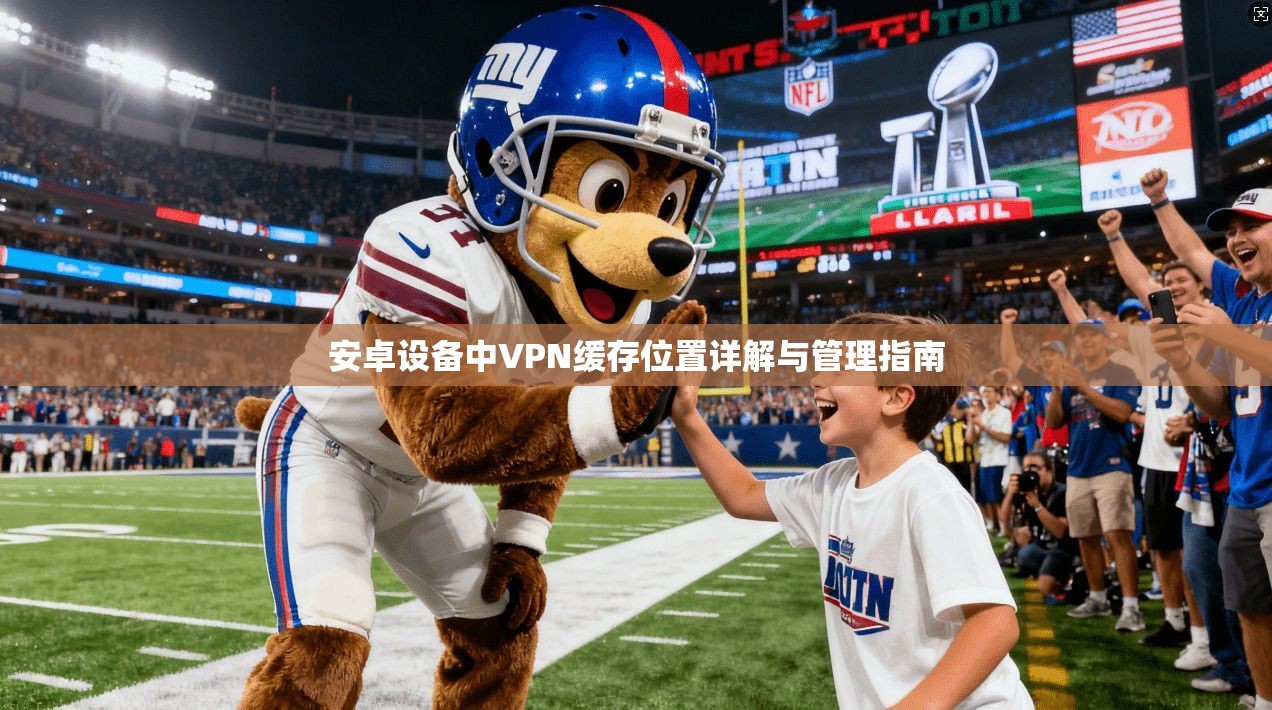 安卓设备中VPN缓存位置详解与管理指南