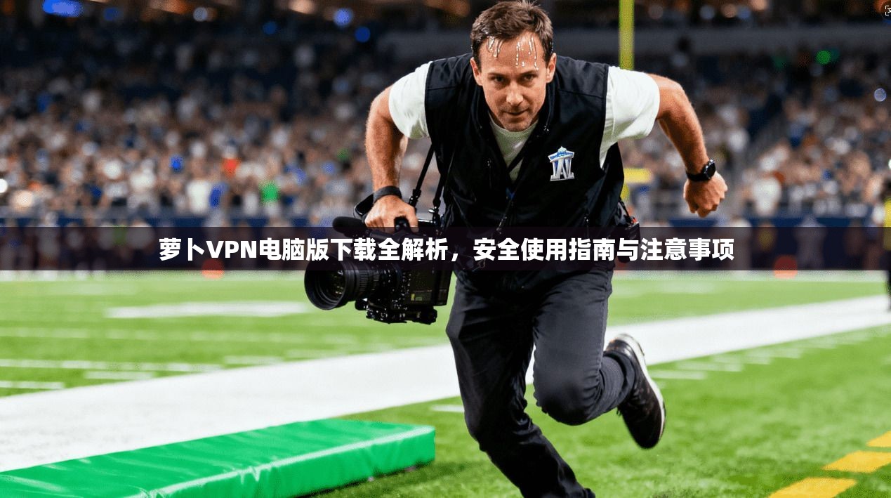 萝卜VPN电脑版下载全解析，安全使用指南与注意事项