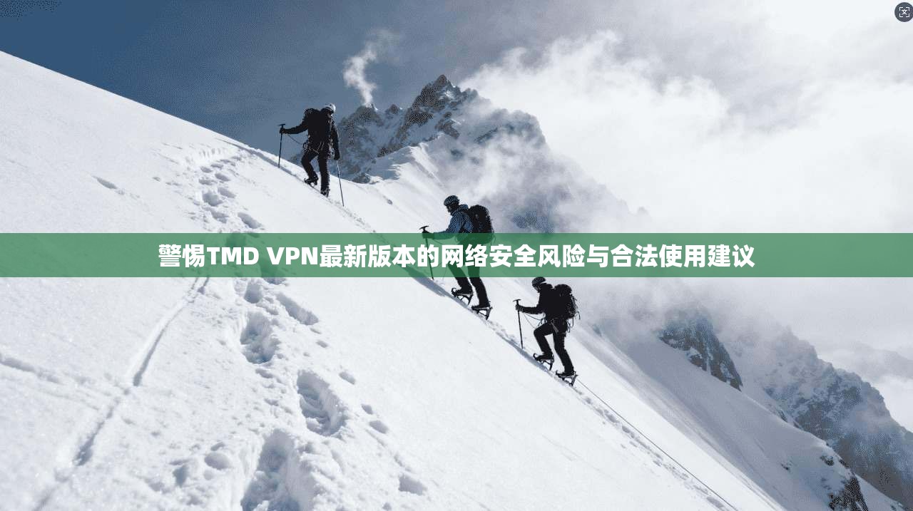 警惕TMD VPN最新版本的网络安全风险与合法使用建议