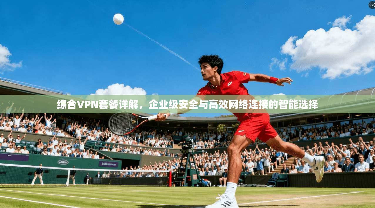 综合VPN套餐详解，企业级安全与高效网络连接的智能选择