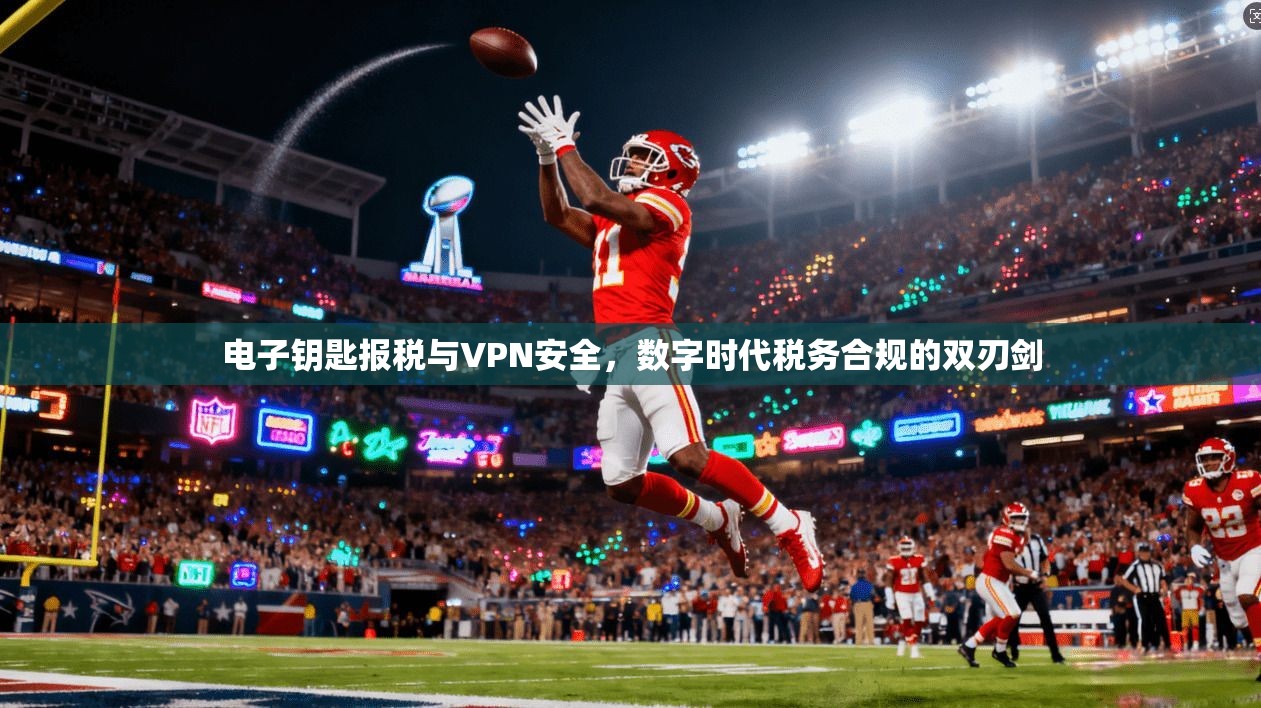 电子钥匙报税与VPN安全，数字时代税务合规的双刃剑