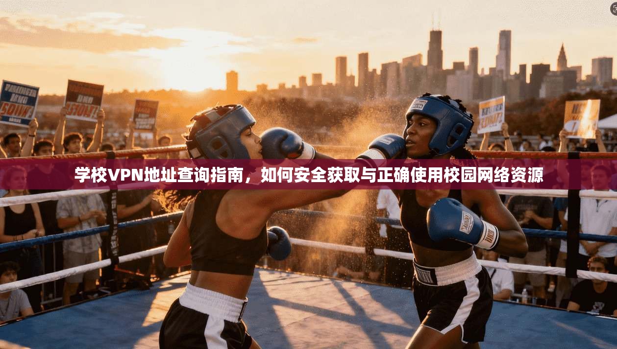 学校VPN地址查询指南，如何安全获取与正确使用校园网络资源