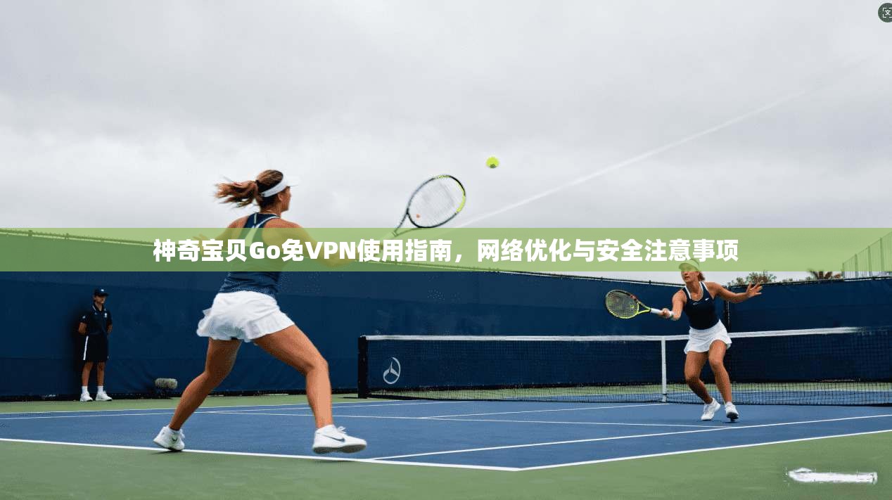 神奇宝贝Go免VPN使用指南，网络优化与安全注意事项