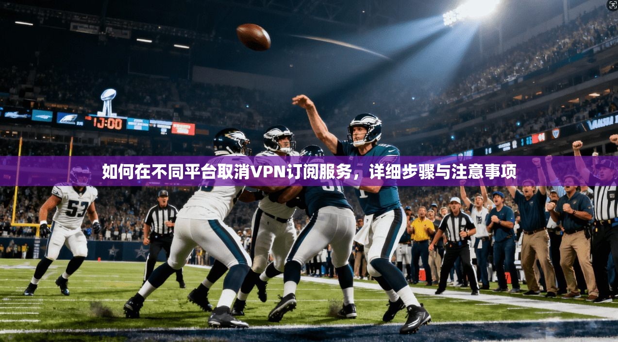 如何在不同平台取消VPN订阅服务，详细步骤与注意事项
